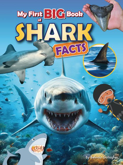 Vorderes Coverbild My First Big Book of Shark Facts