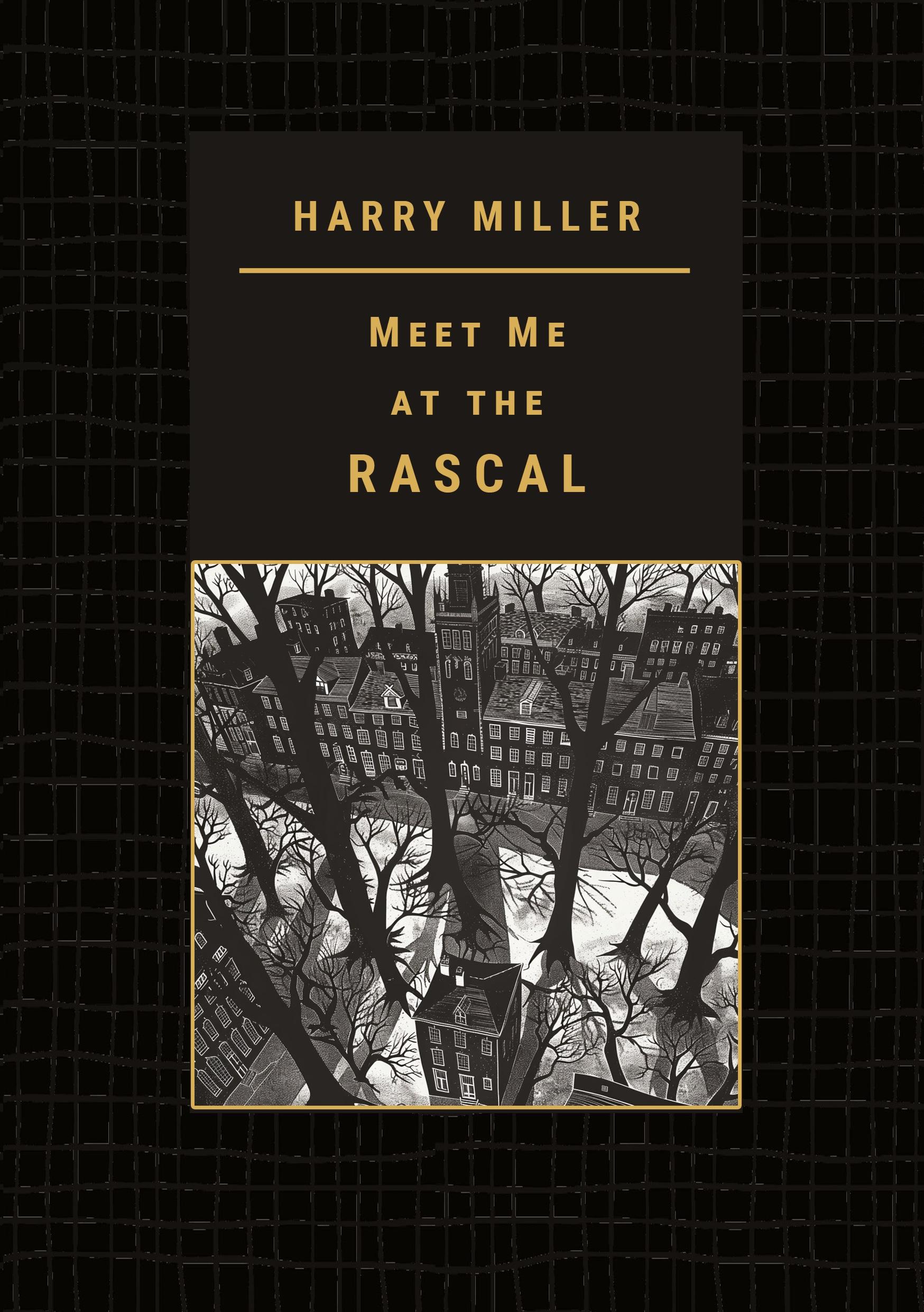 Vorderes Coverbild Meet Me at the RASCAL