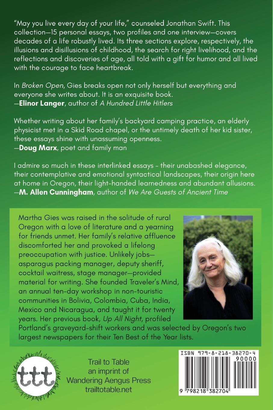 Rückseitencover Broken Open