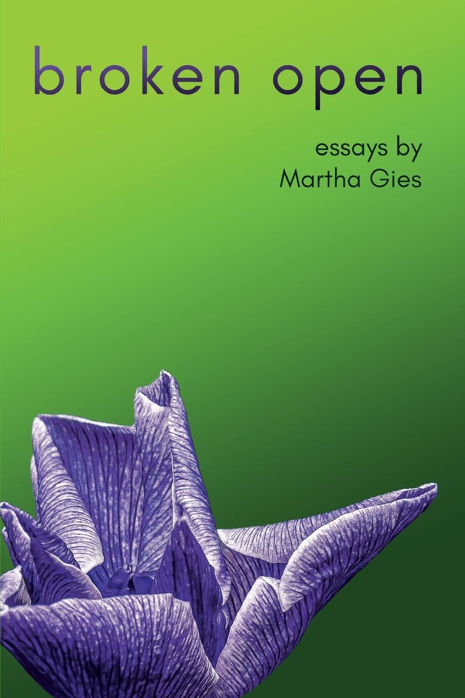 Vorderes Coverbild Broken Open