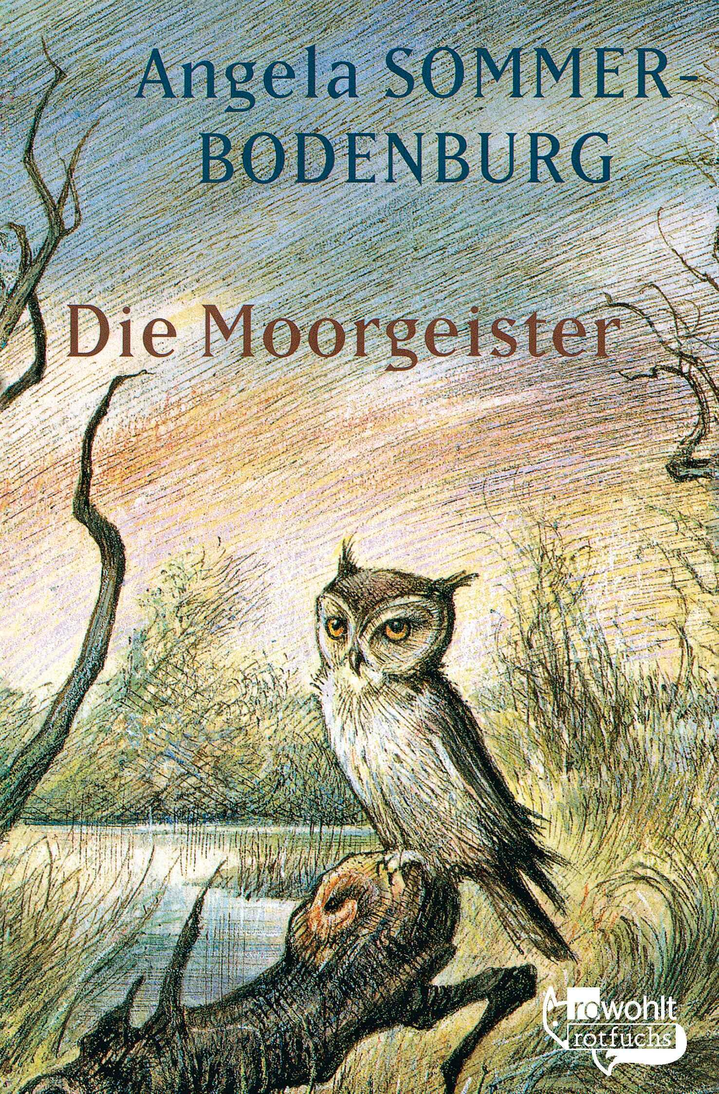 Vorderes Coverbild Die Moorgeister