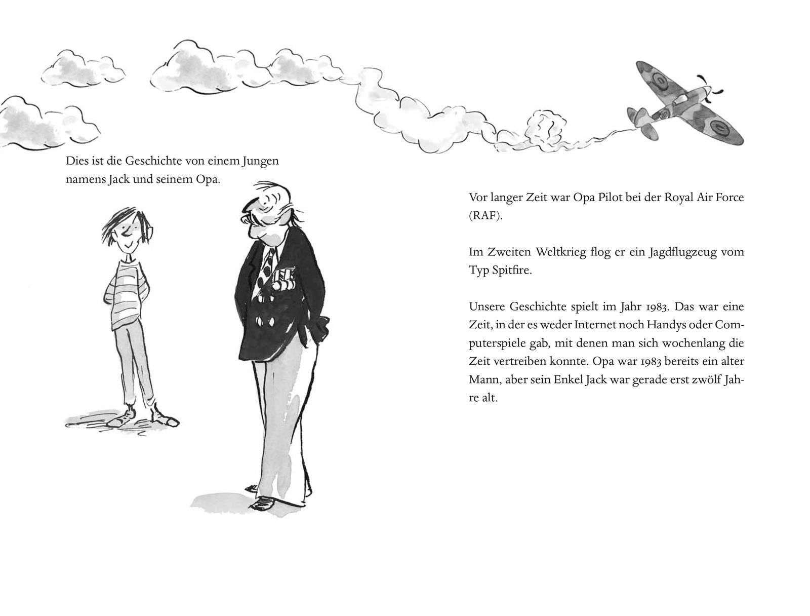 Beispielinhalt (Bild) Propeller-Opa