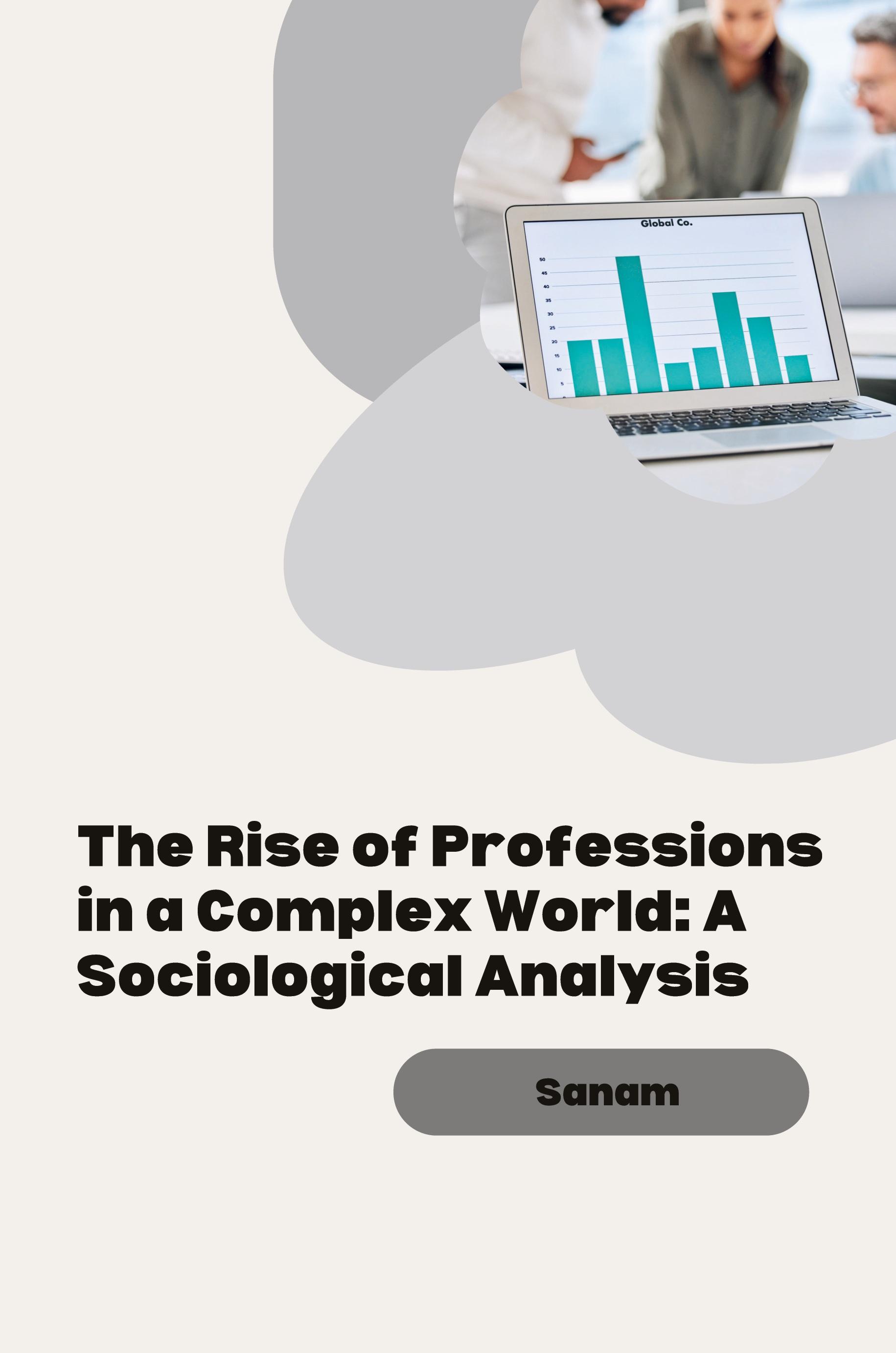 Vorderes Coverbild The Rise of Professions in a Complex World: A Sociological Analysis