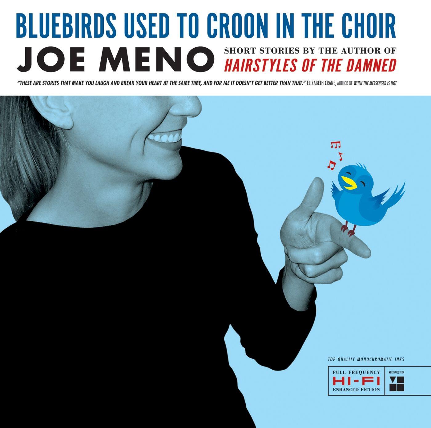 Vorderes Coverbild Bluebirds Used to Croon in the Choir: Stories
