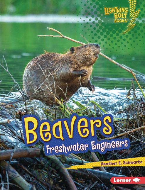 Vorderes Coverbild Beavers