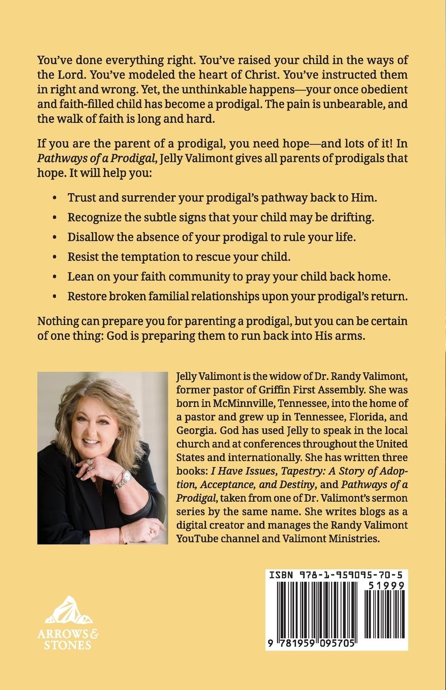 Rückseitencover Pathways of a Prodigal