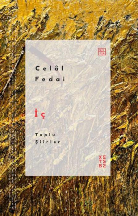 Vorderes Coverbild Ic;Toplu Siirler