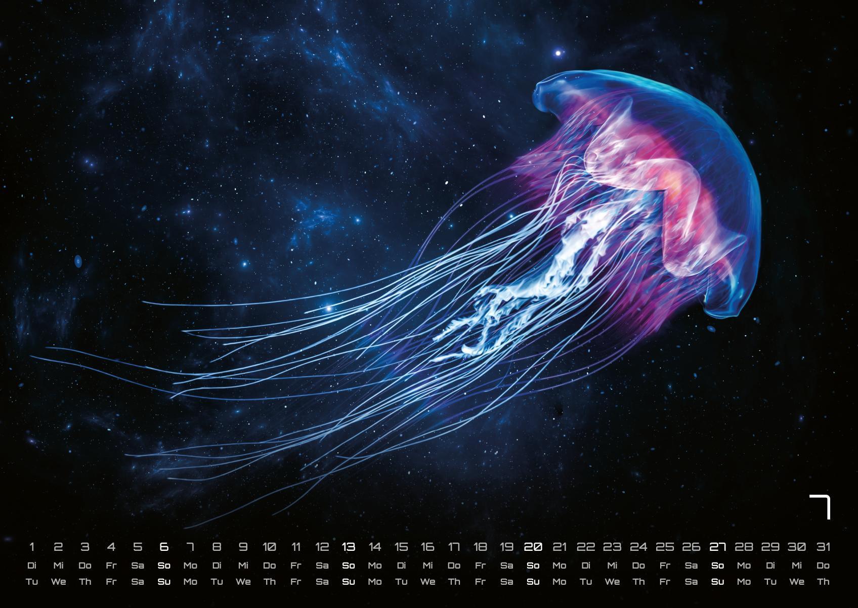 Beispielinhalt (Bild) Sealife - verborgene Tiefen - 2025 - Kalender DIN A2
