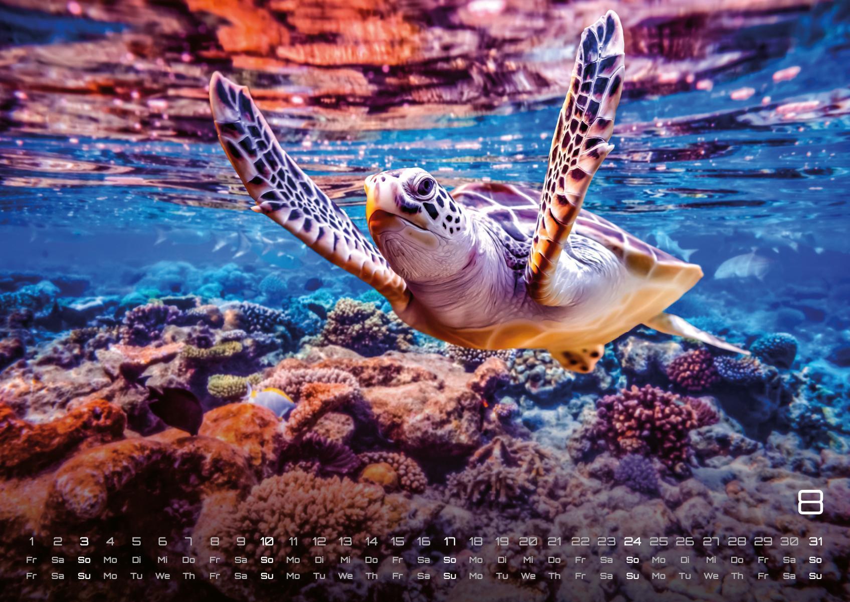 Beispielinhalt (Bild) Sealife - verborgene Tiefen - 2025 - Kalender DIN A2