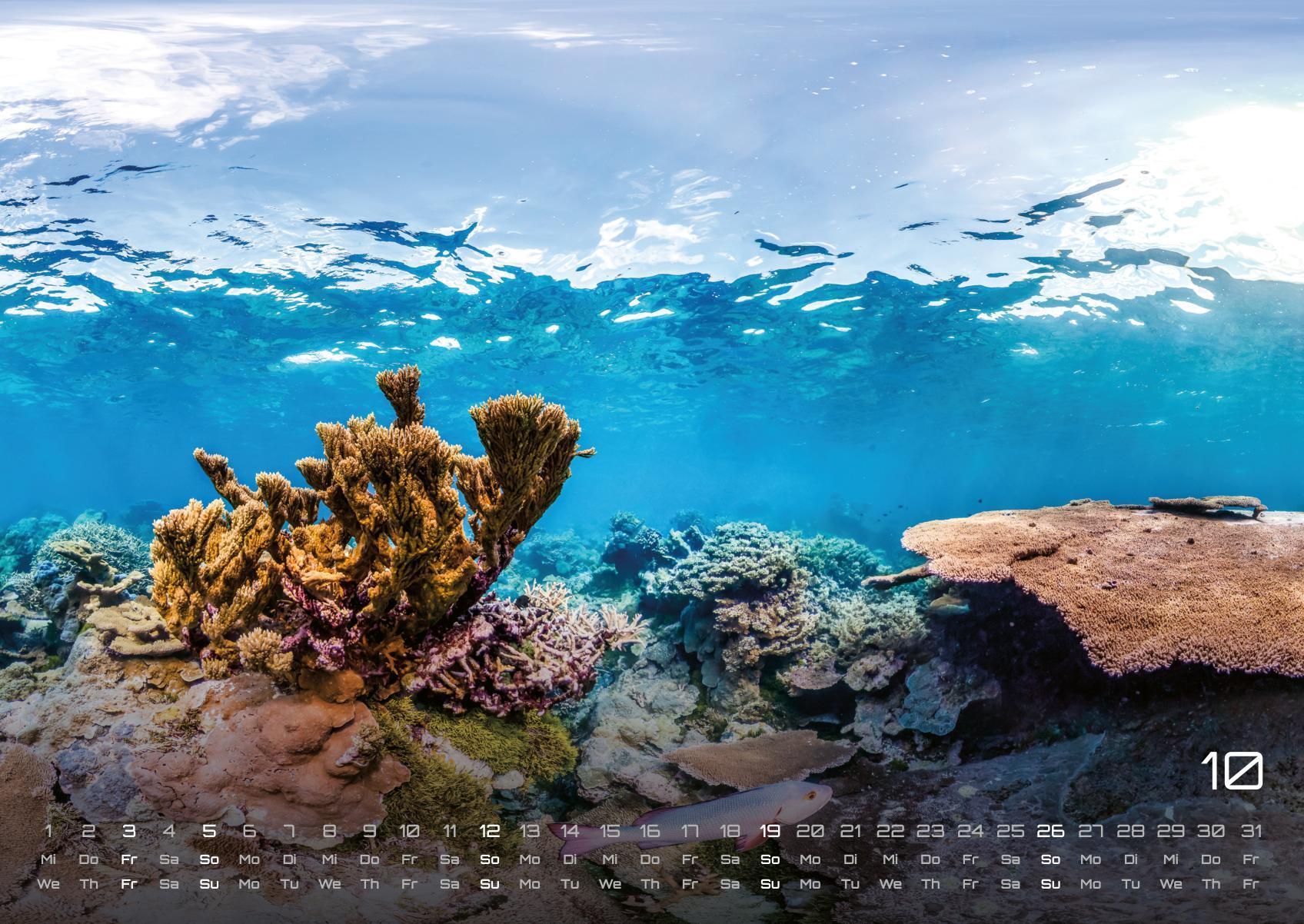 Beispielinhalt (Bild) Sealife - verborgene Tiefen - 2025 - Kalender DIN A2