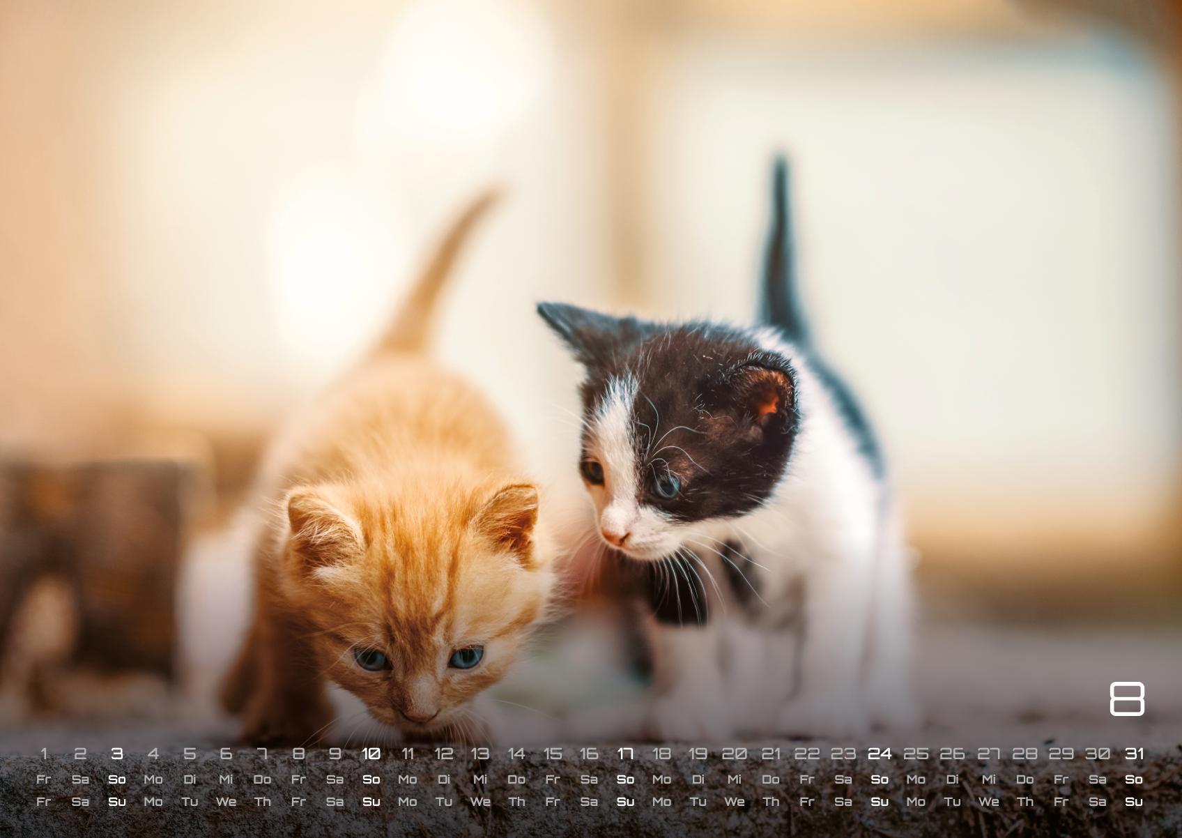 Beispielinhalt (Bild) Miau Kids - kleine Tiger ganz groß - Der Katzenkalender - 2025 - Kalender DIN A2