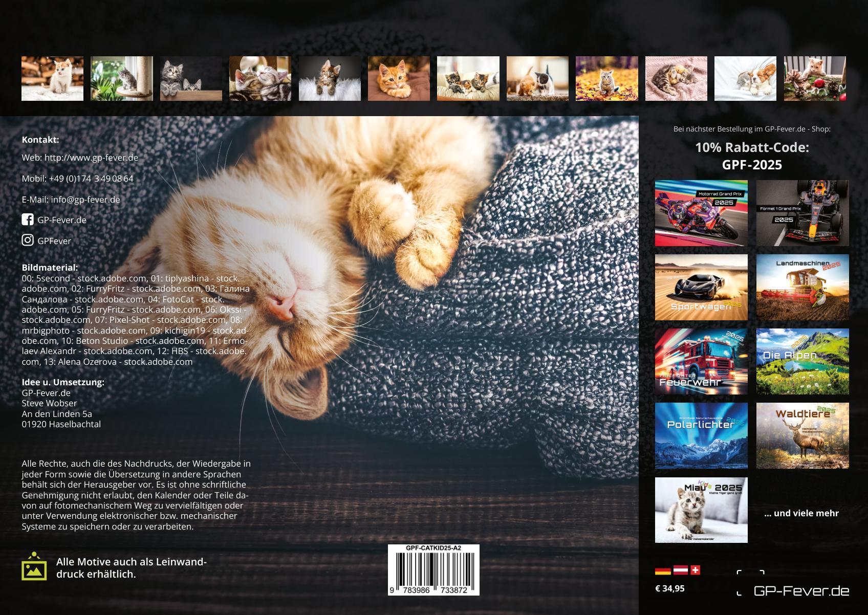 Beispielinhalt (Bild) Miau Kids - kleine Tiger ganz groß - Der Katzenkalender - 2025 - Kalender DIN A2