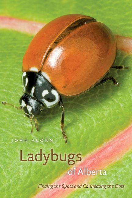 Vorderes Coverbild Ladybugs of Alberta