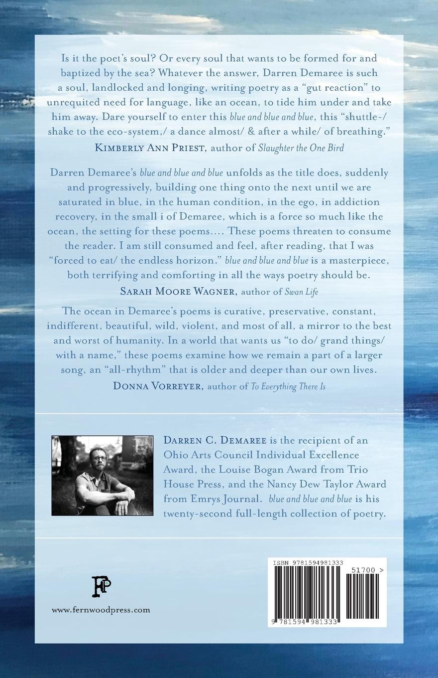 Rückseitencover Blue and Blue and Blue