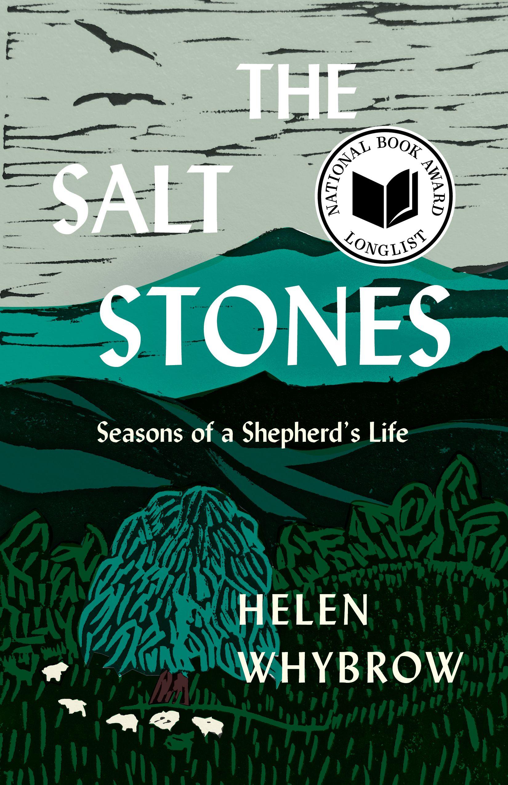 Vorderes Coverbild The Salt Stones