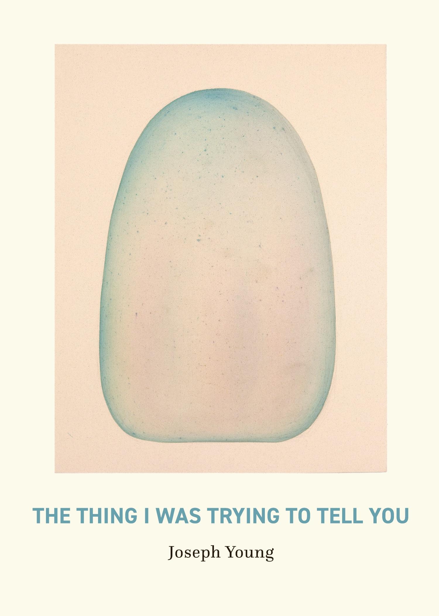 Vorderes Coverbild The Thing I Was Trying to Tell You