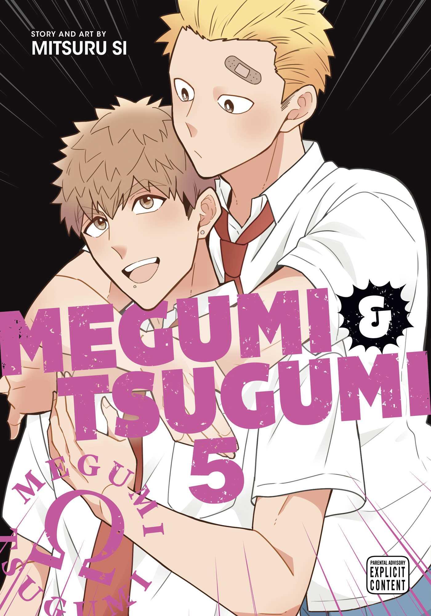 Vorderes Coverbild Megumi & Tsugumi, Vol. 5