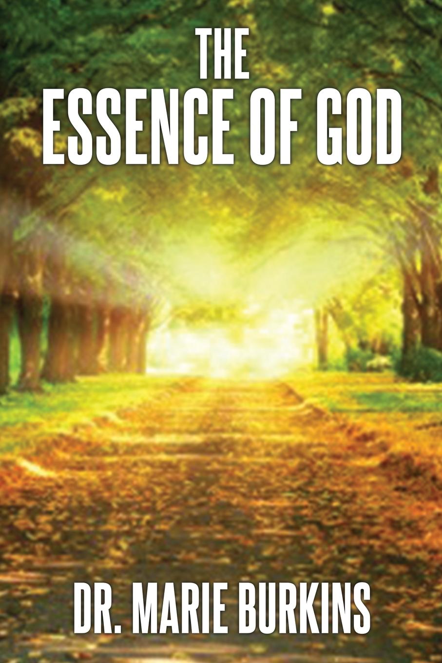 Vorderes Coverbild The Essence of God