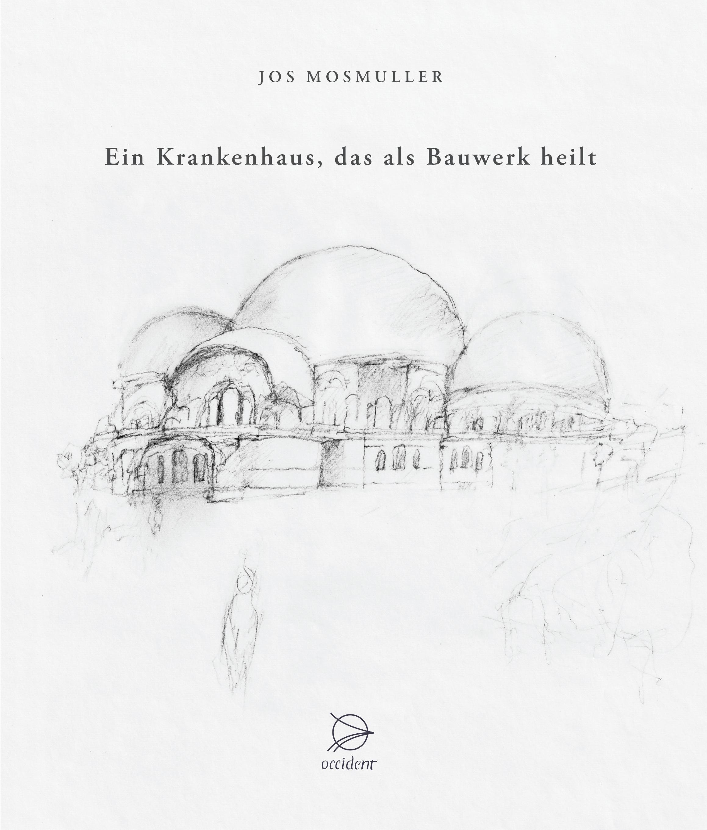 Vorderes Coverbild Ein Krankenhaus, das als Bauwerk heilt