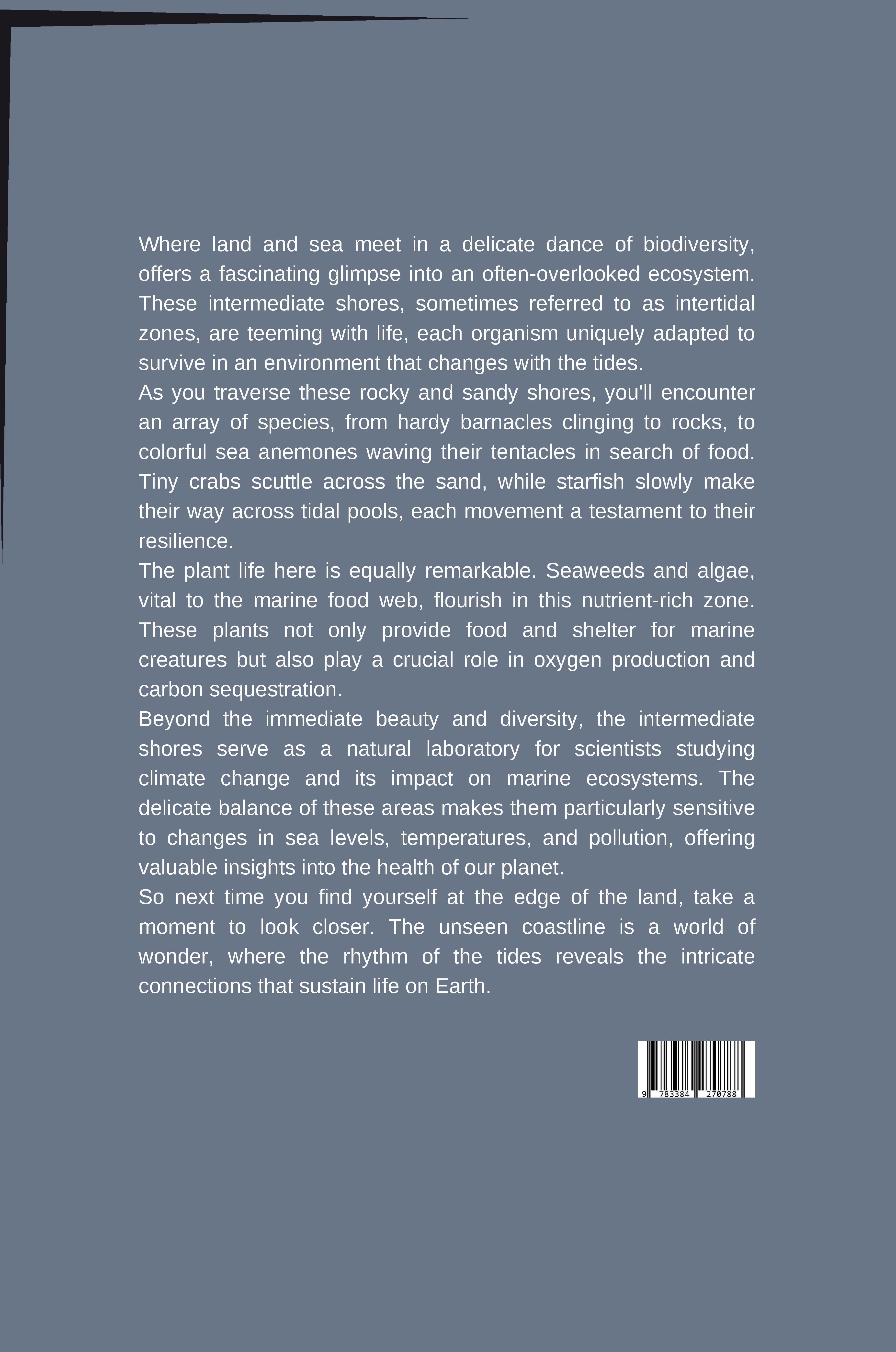 Rückseitencover The Unseen Coastline: Exploring the Ecology of Intermediate Shores