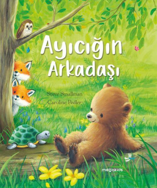 Vorderes Coverbild Ayicigin Arkadasi