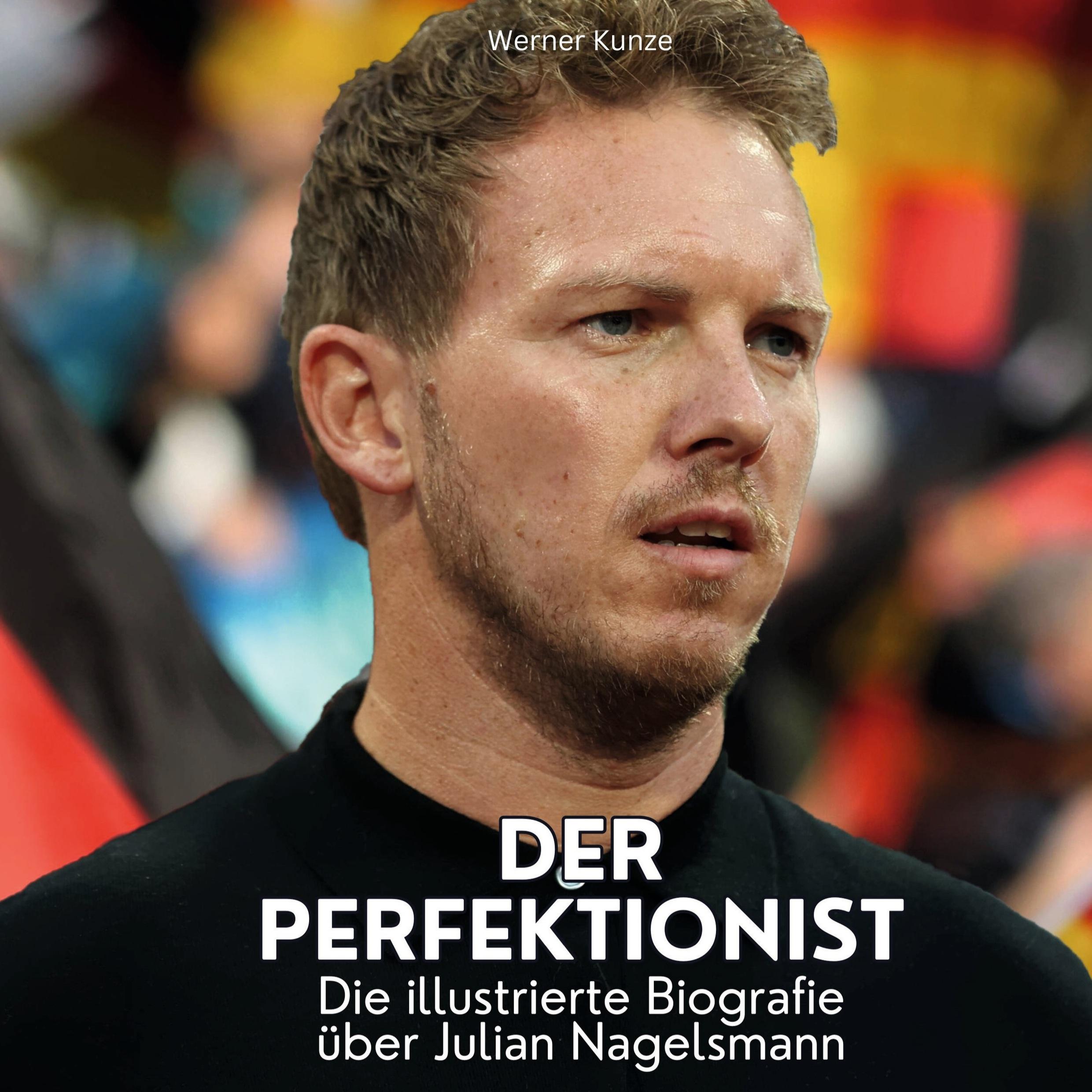 Vorderes Coverbild Der Perfektionist