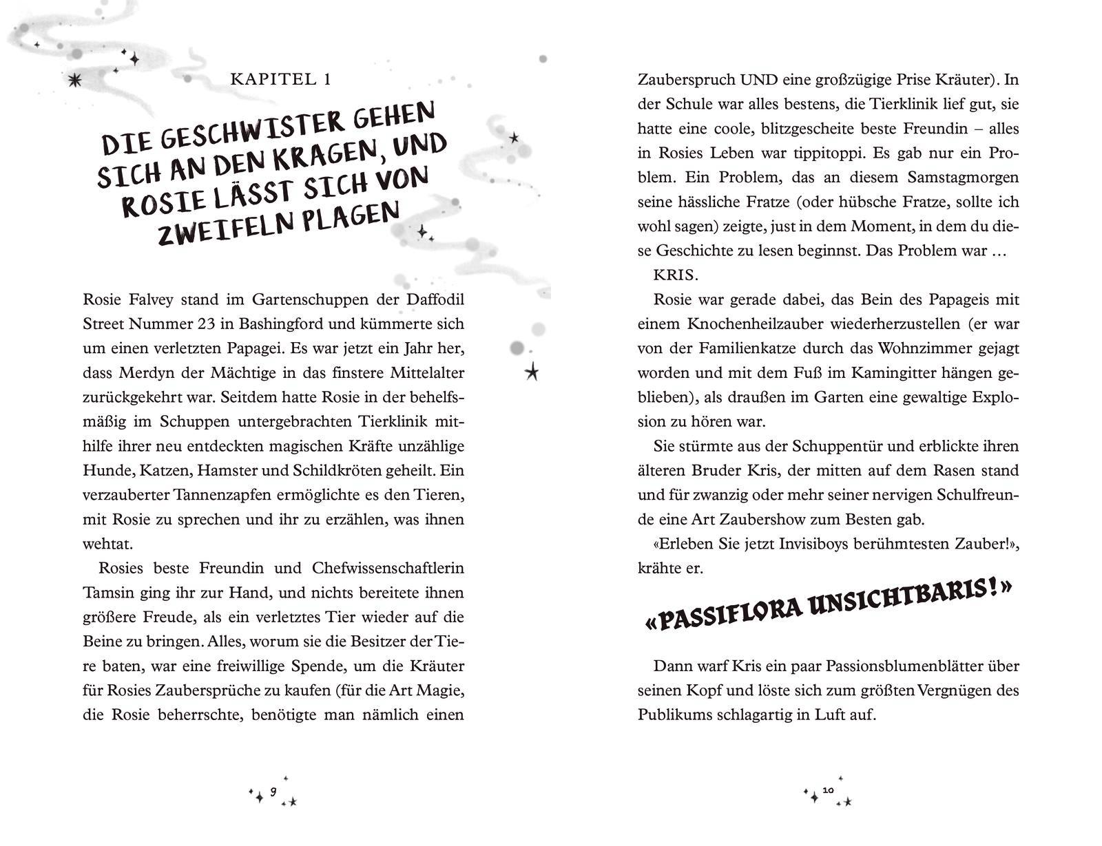 Beispielinhalt (Bild) Merdyns magische Missgeschicke - Die Rache des Vandalen