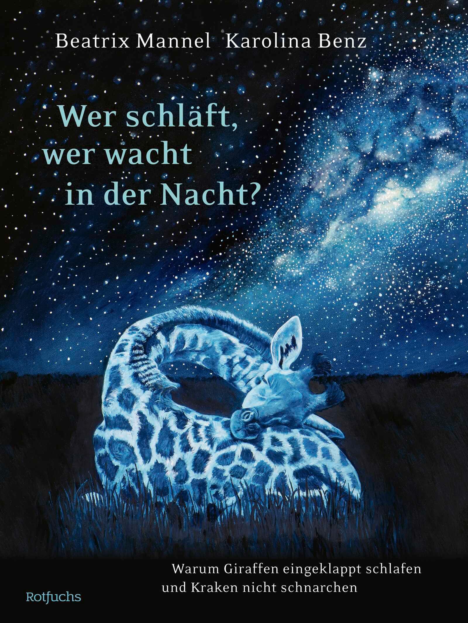Vorderes Coverbild Wer schläft, wer wacht in der Nacht?