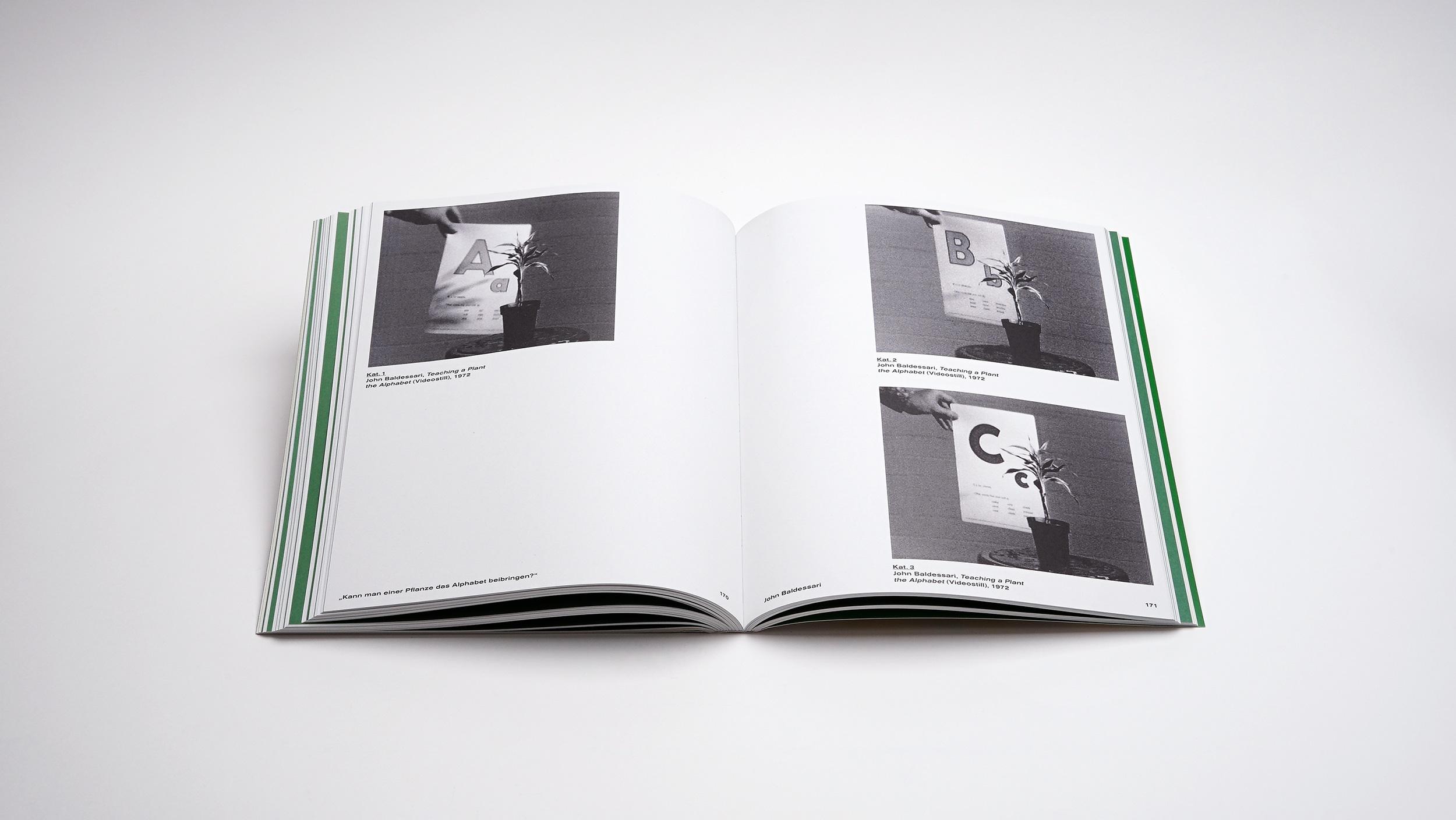 Beispielinhalt (Bild) Sprache/Text/Bild