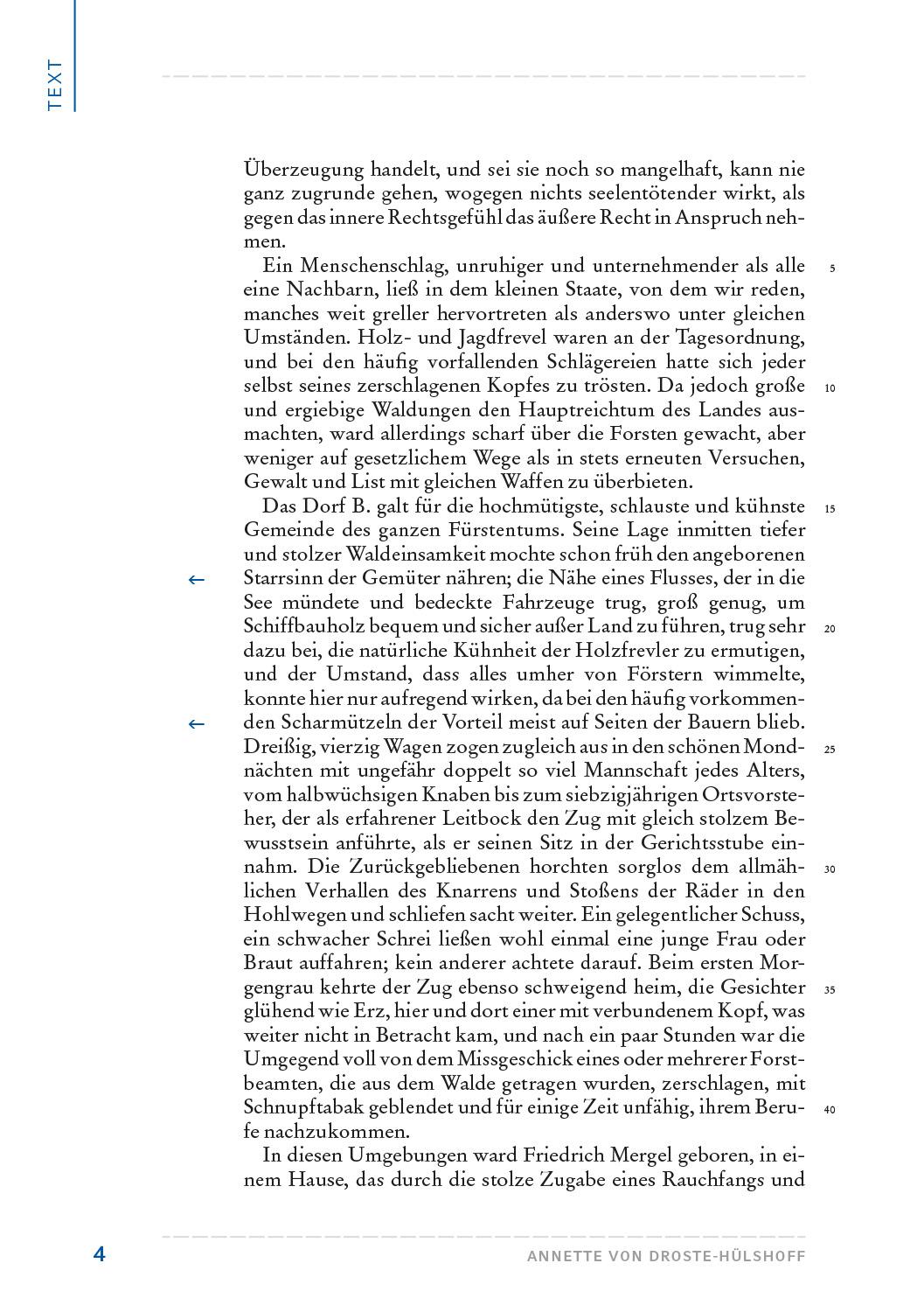 Beispielinhalt (Bild) Die Judenbuche