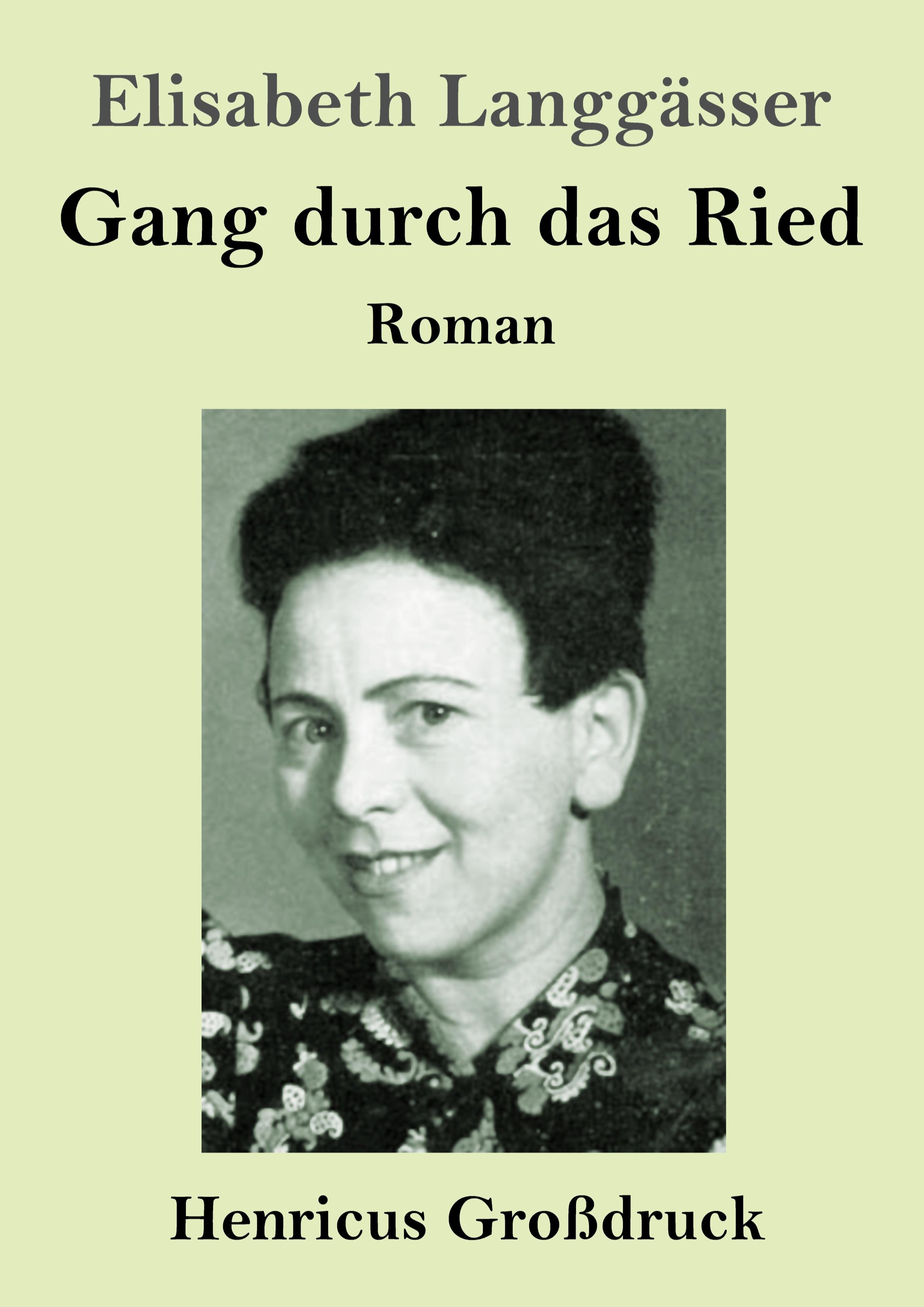 Vorderes Coverbild Gang durch das Ried (Großdruck)