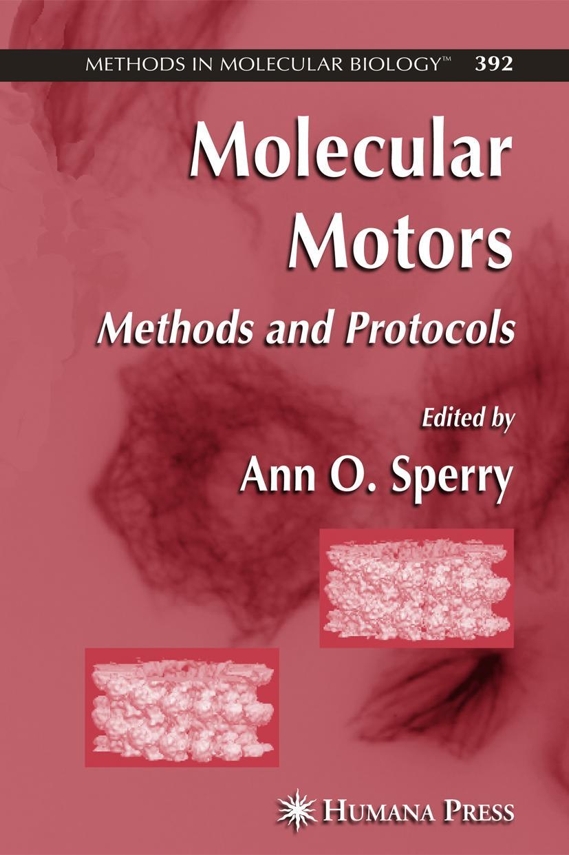Vorderes Coverbild Molecular Motors