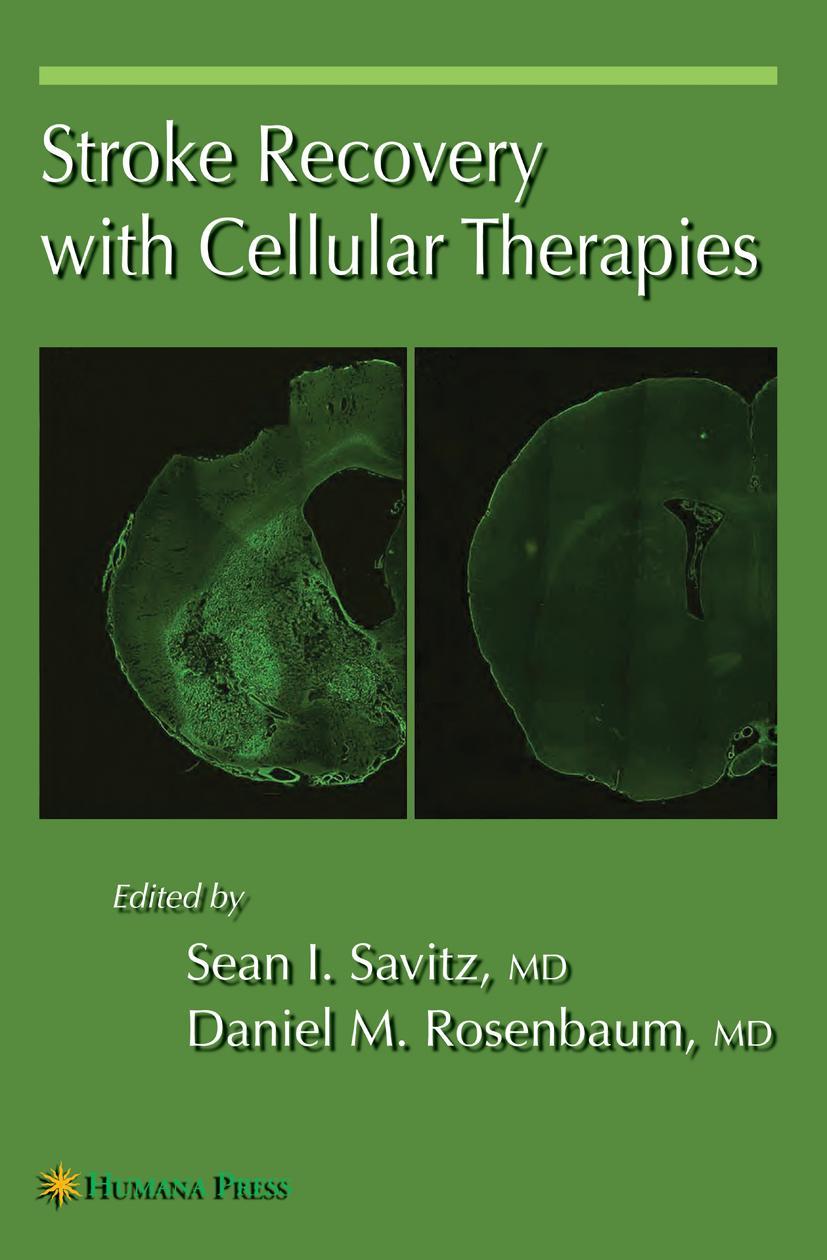 Vorderes Coverbild Stroke Recovery with Cellular Therapies
