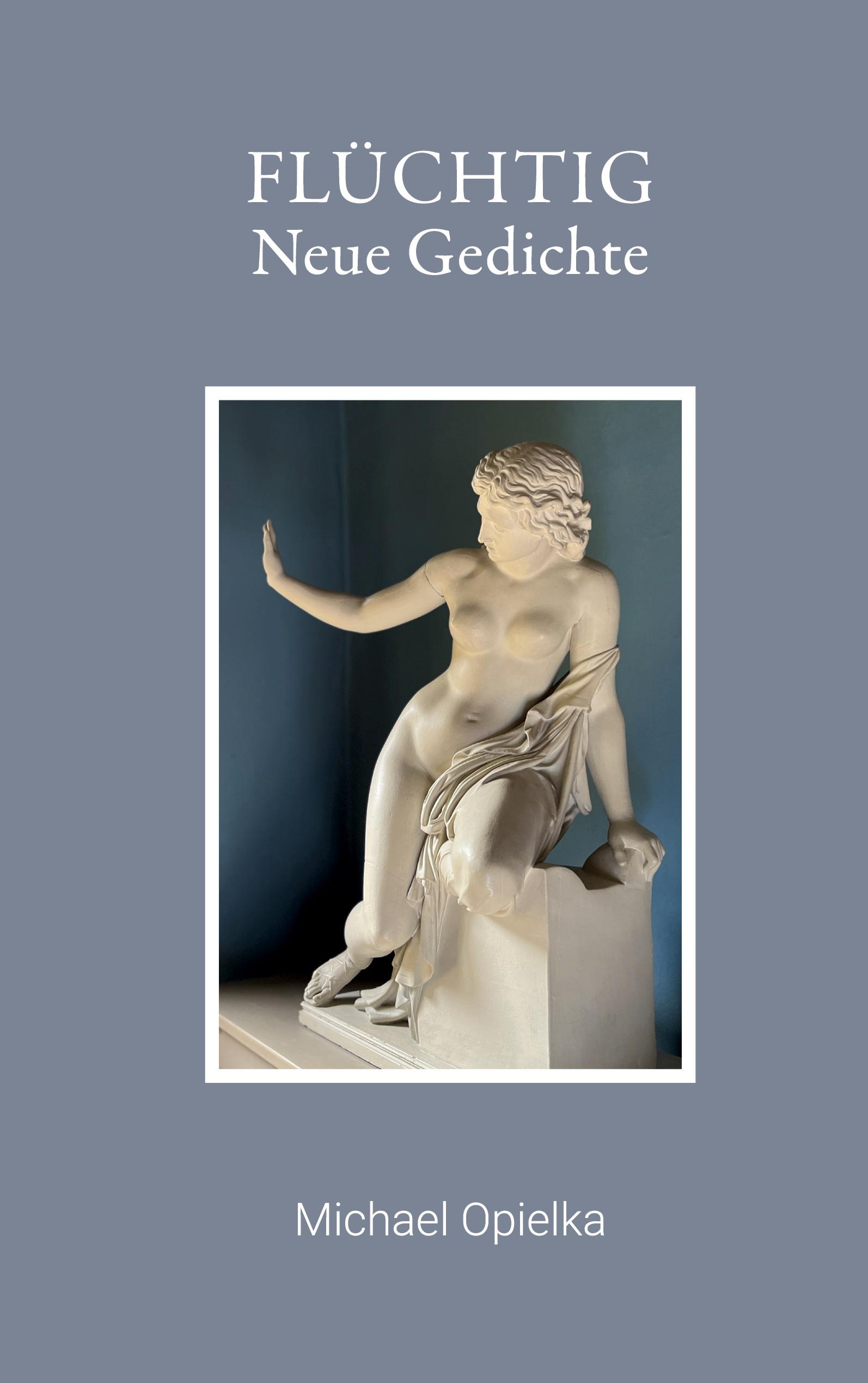 Vorderes Coverbild Flüchtig