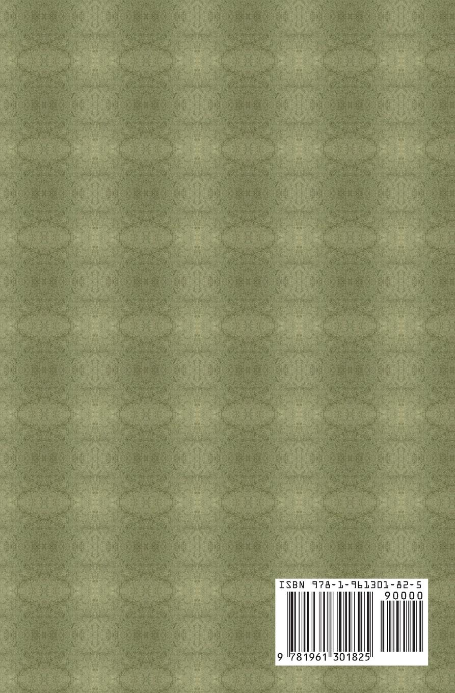 Rückseitencover The Missing Partners