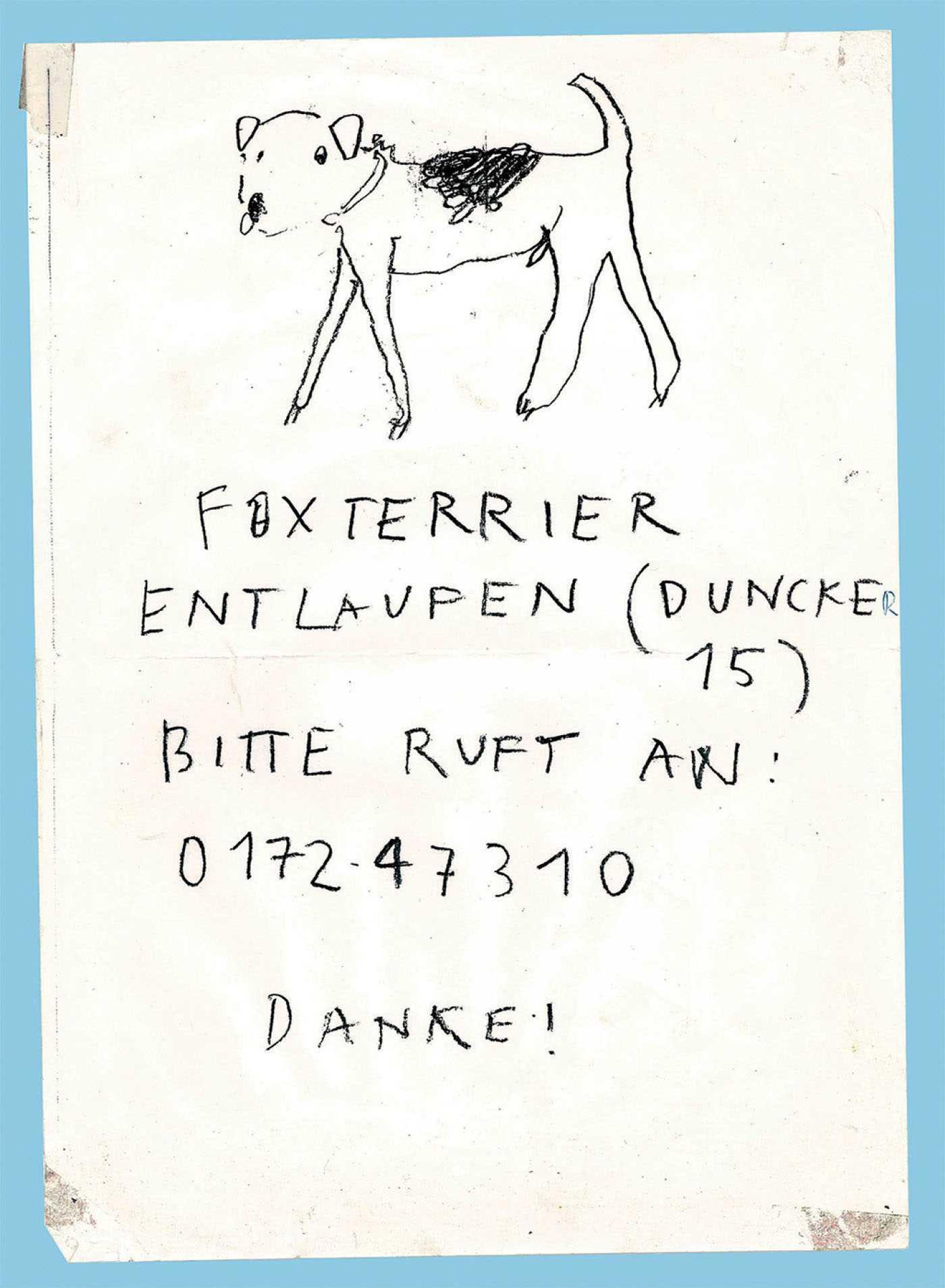 Vorderes Coverbild Please Look in the Basement