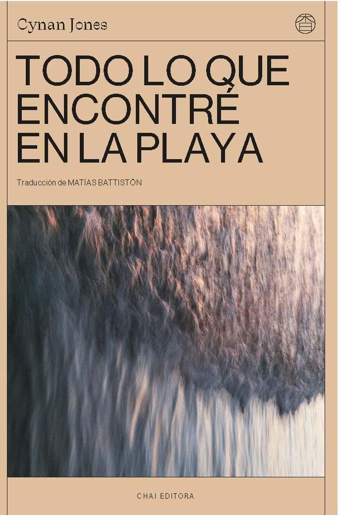 Vorderes Coverbild Todo lo que encontré en la playa