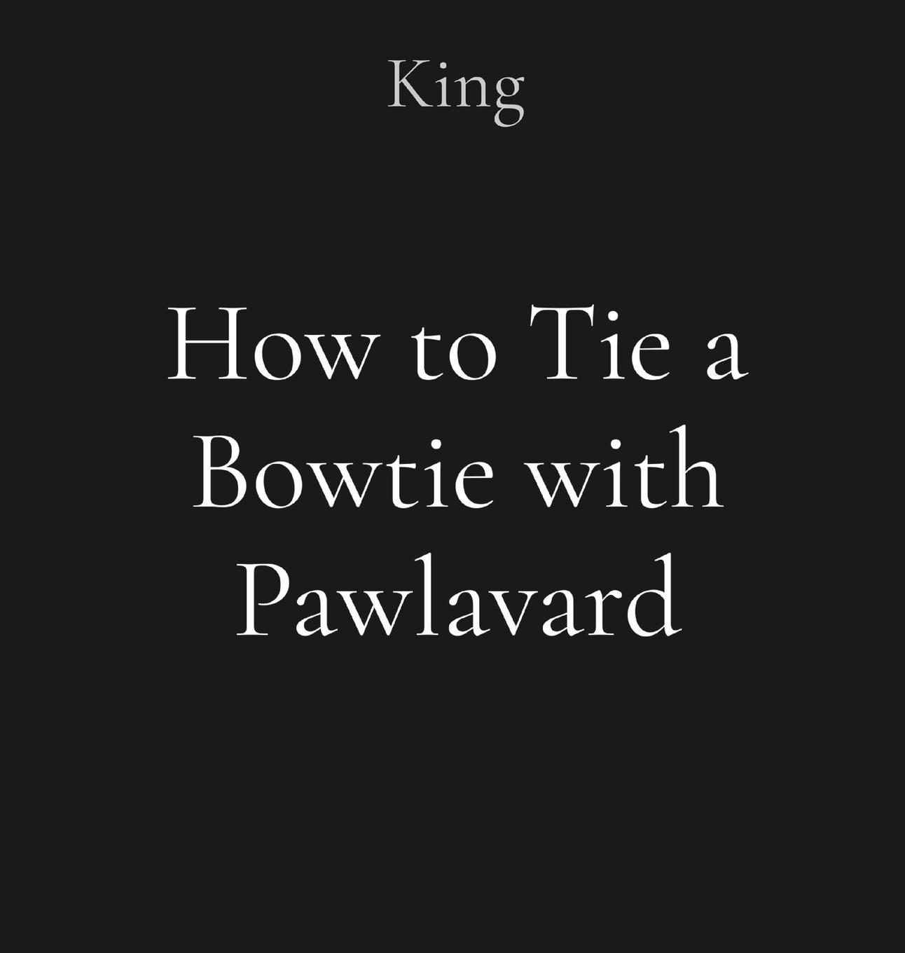 Vorderes Coverbild How to Tie a Bowtie with Pawlavard