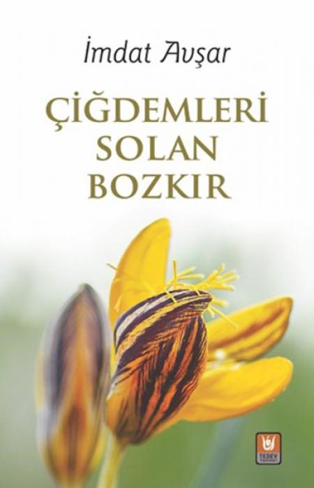 Vorderes Coverbild Cigdemleri Solan Bozkir