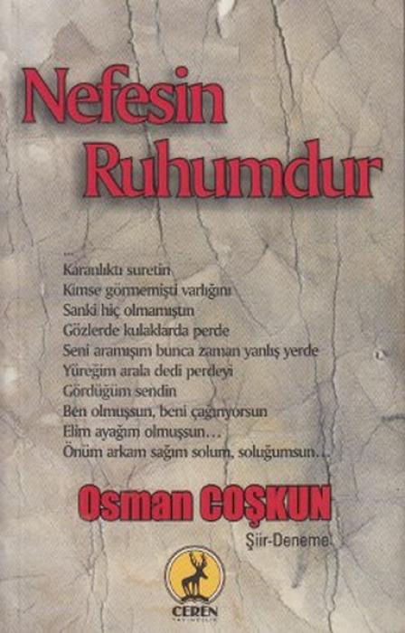Vorderes Coverbild Nefesin Ruhumdur