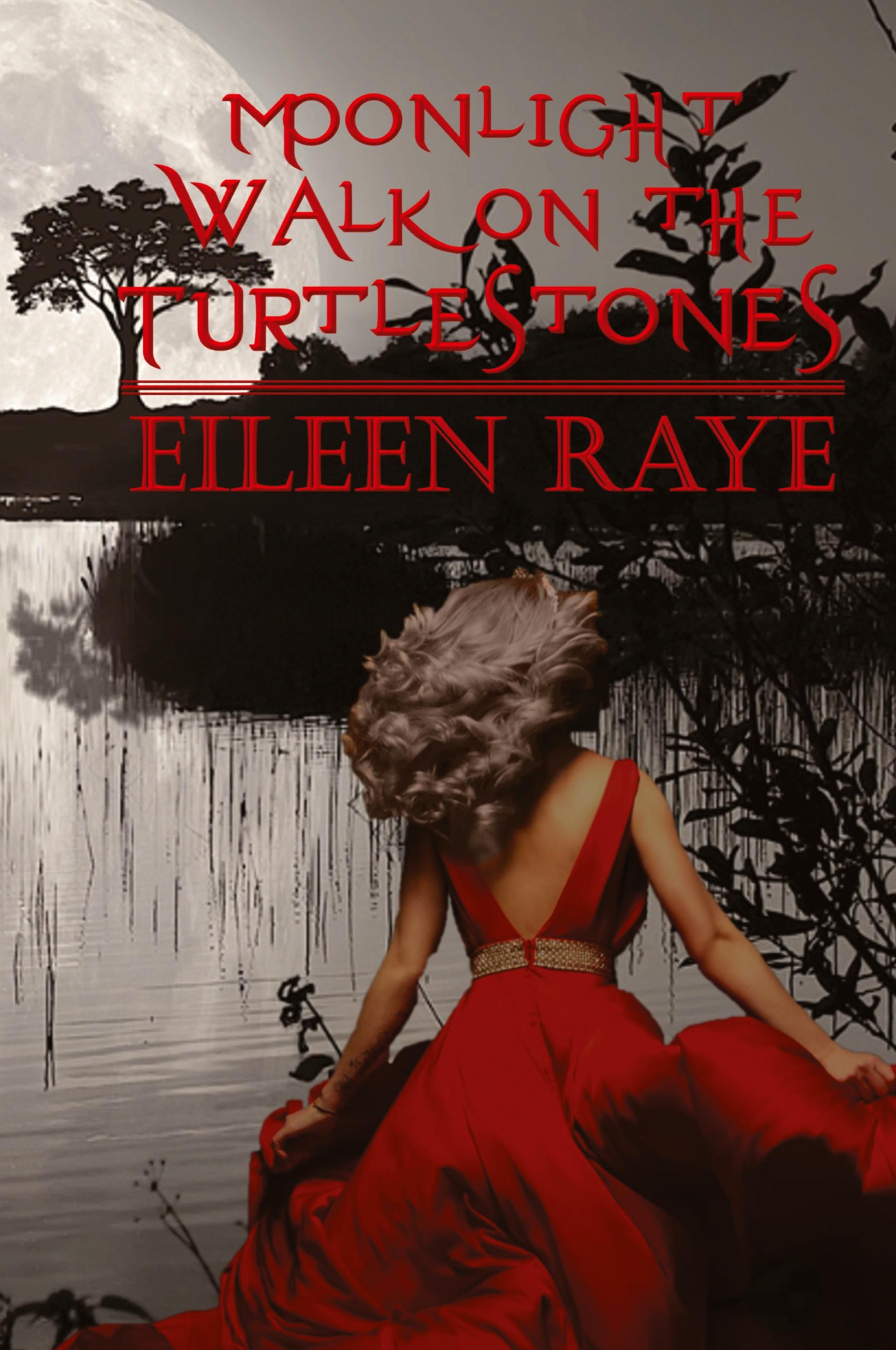 Vorderes Coverbild Moonlight Walk on the Turtlestones