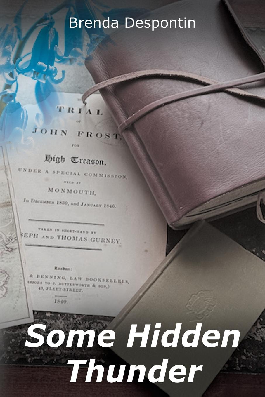 Vorderes Coverbild Some Hidden Thunder