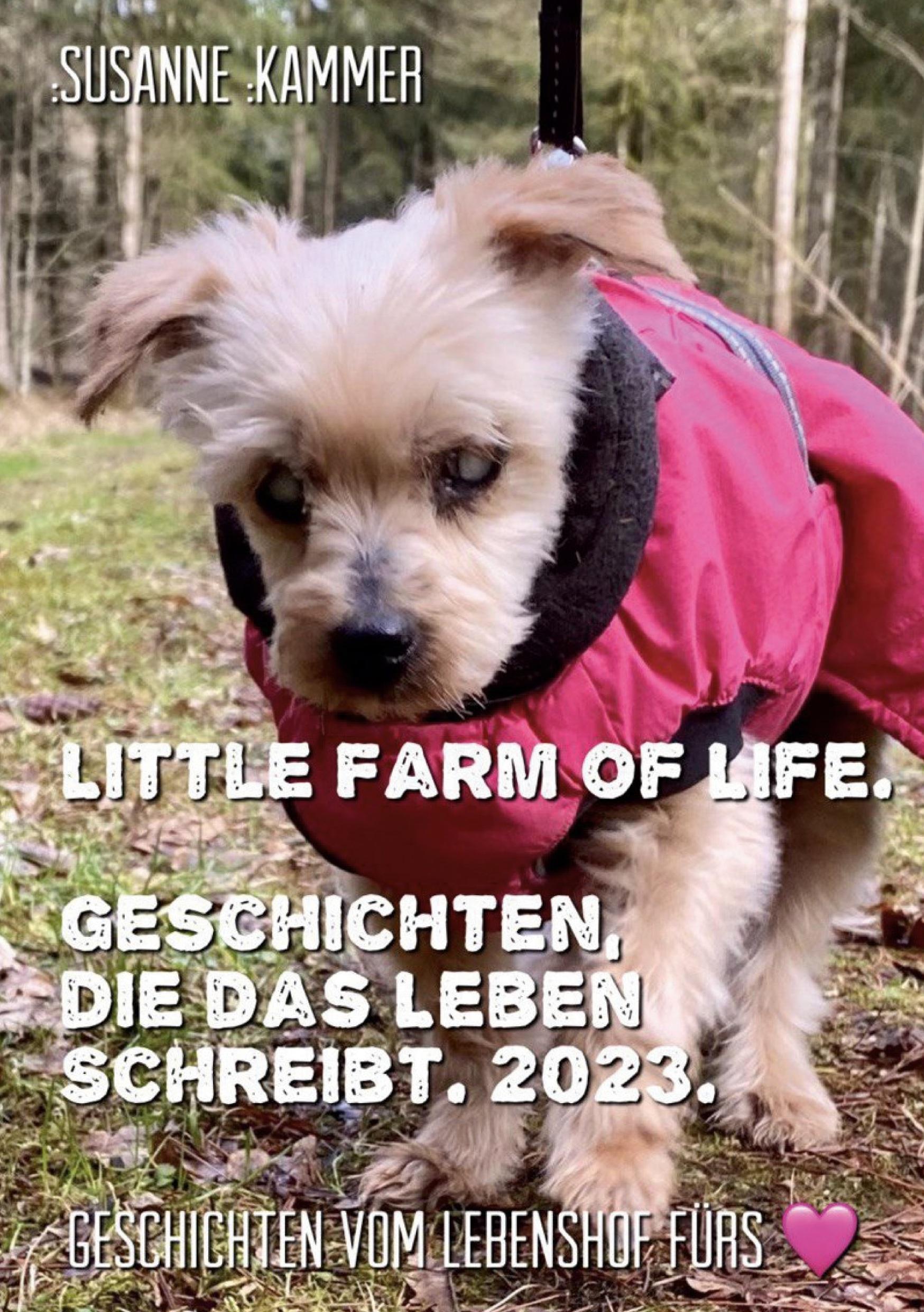 Vorderes Coverbild Little Farm of Life. Geschichten, die das Leben schreibt. 2023.