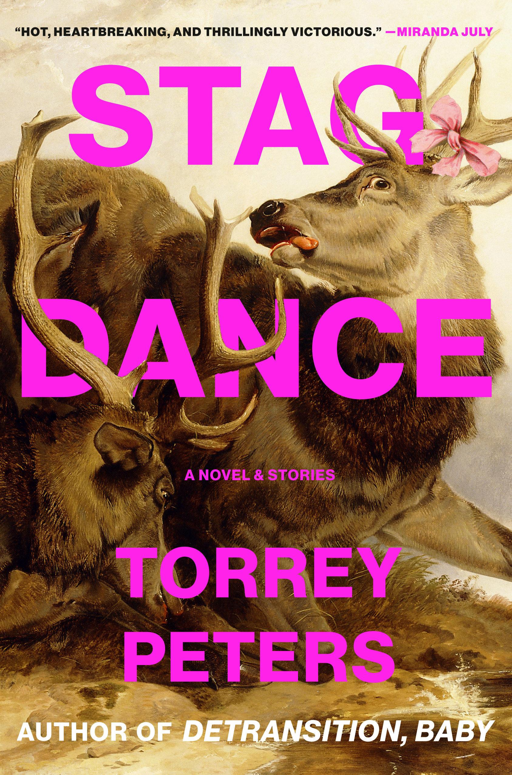 Vorderes Coverbild Stag Dance