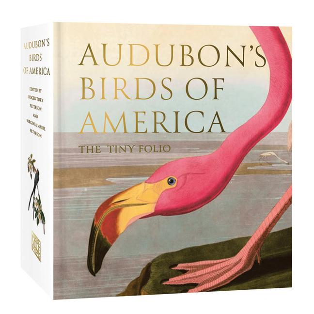 Vorderes Coverbild Audubon's Birds of America
