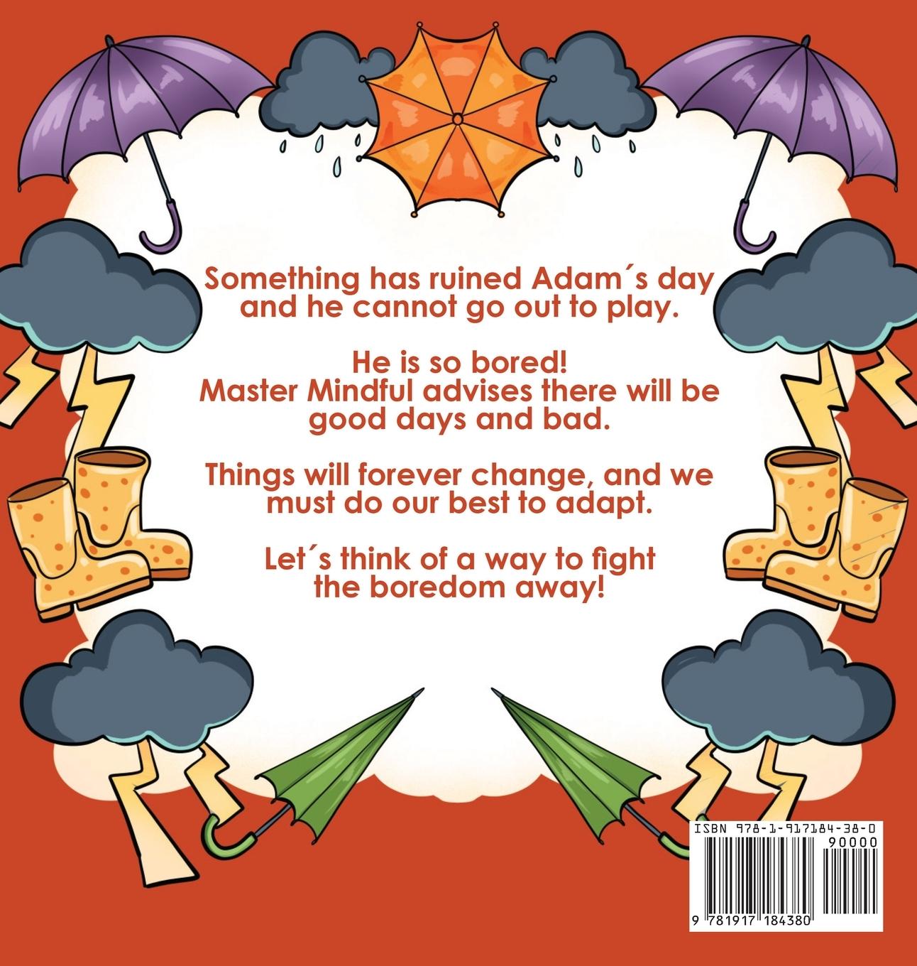 Rückseitencover Master Mindful