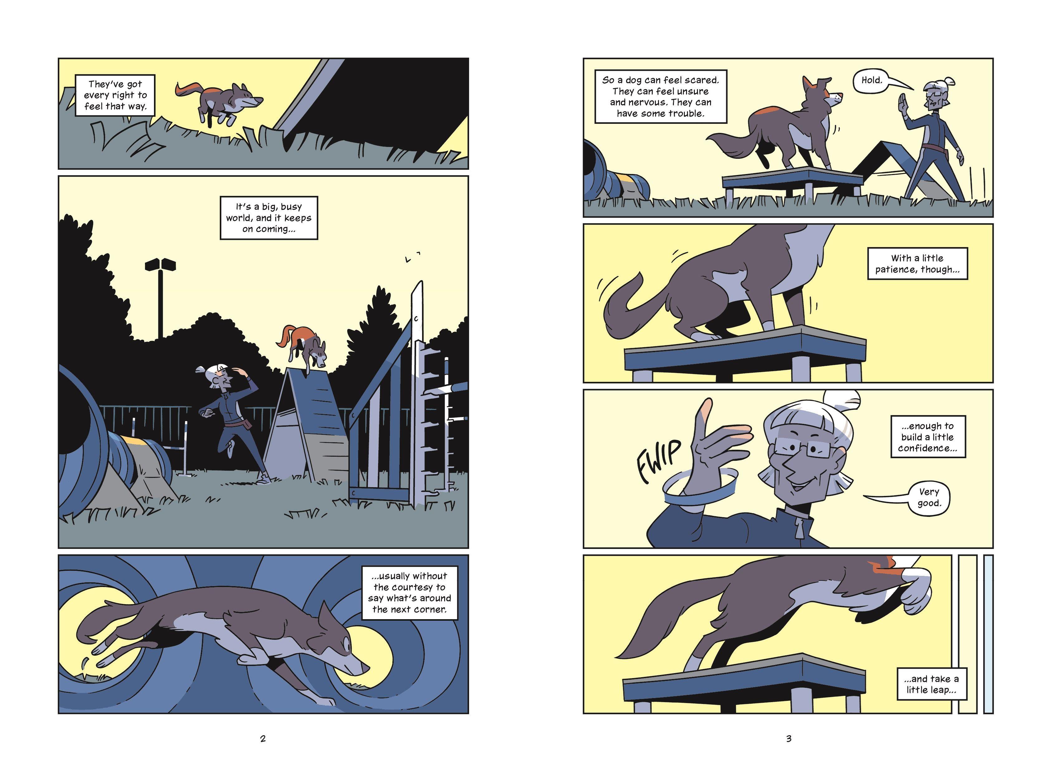 Beispielinhalt (Bild) Good Boy