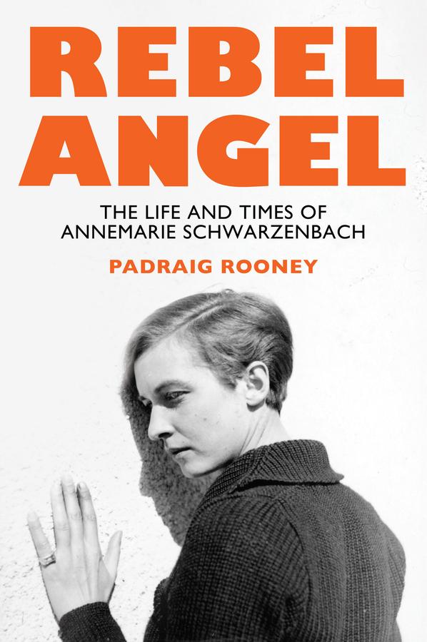 Vorderes Coverbild Rebel Angel