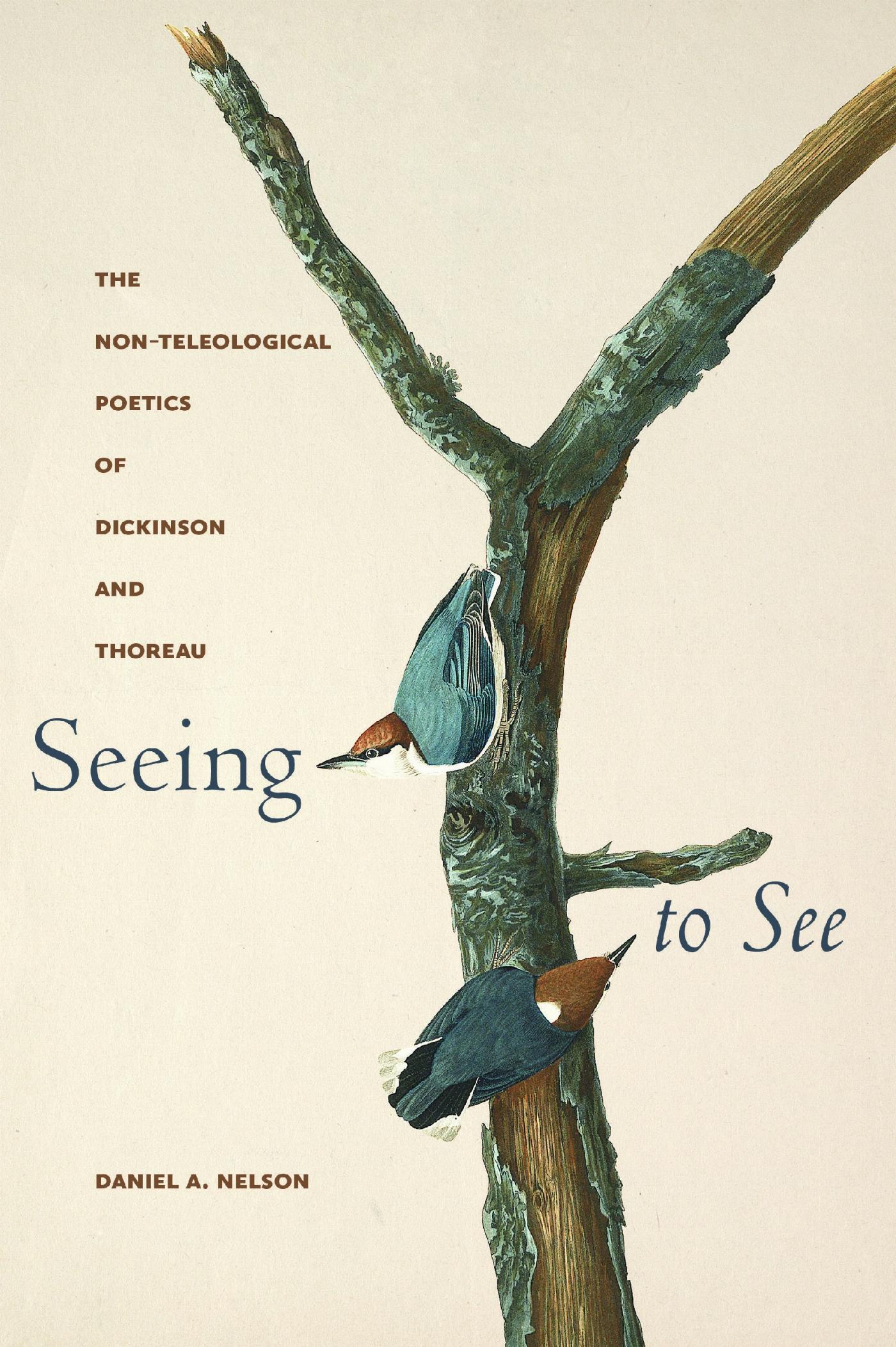 Vorderes Coverbild Seeing to See