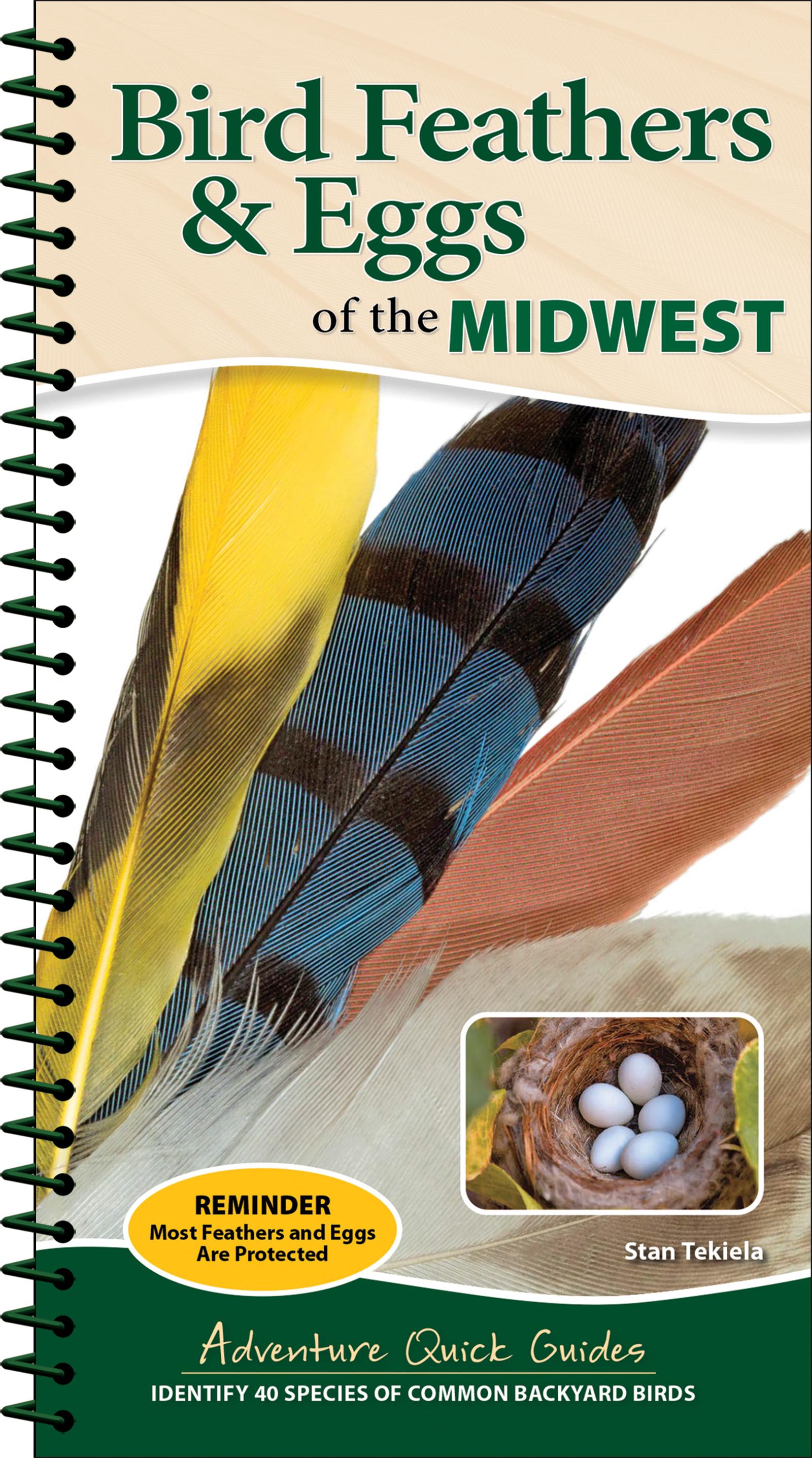 Vorderes Coverbild Bird Feathers & Eggs of the Midwest
